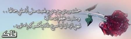 wafaa